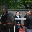 Maj�les VFU, ve volnosti