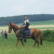 Fotografie z rekonstrukce bitvy u Hradce Kr�lov�, kter� se uskute�nila v �ervenci r. 2005